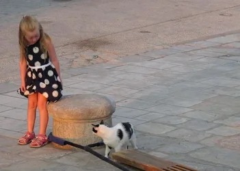 $Girl and cat 3 crop.webp $Girl and cat 3 crop.webp