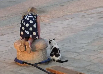 $Girl and cat 4 crop.webp $Girl and cat 4 crop.webp