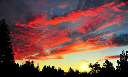 $Sunset.webp