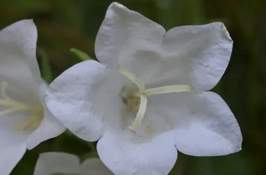 $_DSC0174.webp