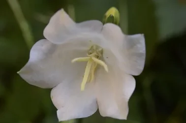 $_DSC0176.webp