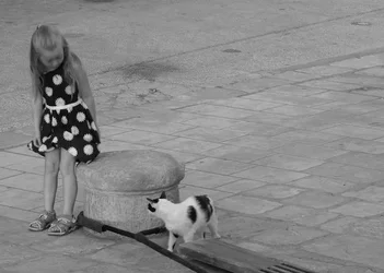 $Girl and cat 3 crop b&w.webp $Girl and cat 3 crop b&w.webp