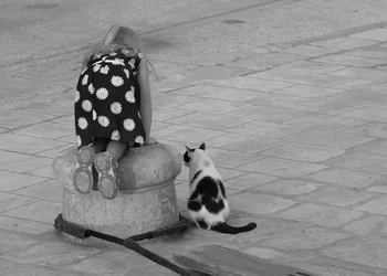 $Girl and cat 4 crop b&w.webp $Girl and cat 4 crop b&w.webp