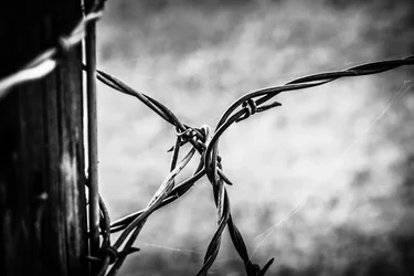 $Barbed b&w.webp