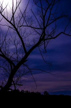 $20131018 Burke Lake Moon 48 Blue and Purple_resize.webp