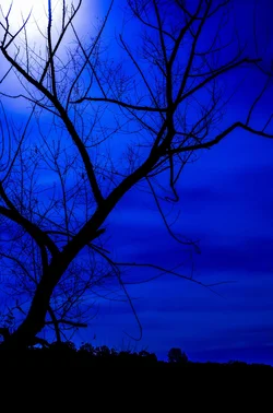 $20131018 Burke Lake Moon 48-BBlue_resize.webp
