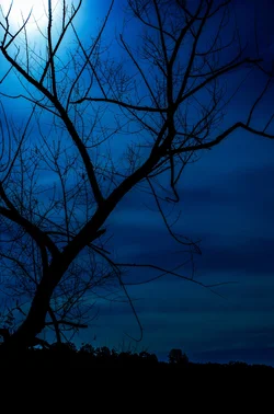 $20131018 Burke Lake Moon 48-Blue_resize.webp