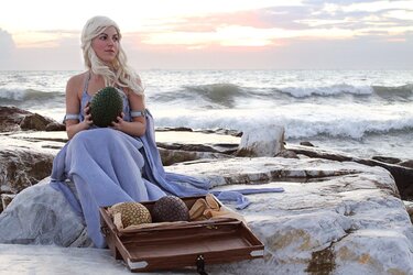 $daenerys_targaryen_1_by_cursedmind-d4i0tta.jpg