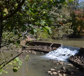 $DSC_2950_002_Cropped.webp $DSC_2950_002_Cropped.webp