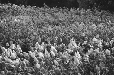 $EAMArtPHOTO018.webp