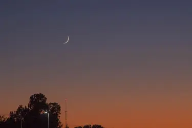 $Moonlight-sunset.webp