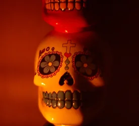 $Skull.webp $Skull.webp
