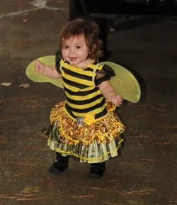 $IMG_5092crop.webp $IMG_5092crop.webp