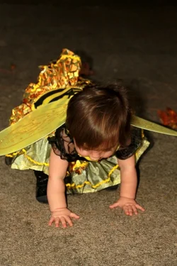 $IMG_5099.webp $IMG_5099.webp