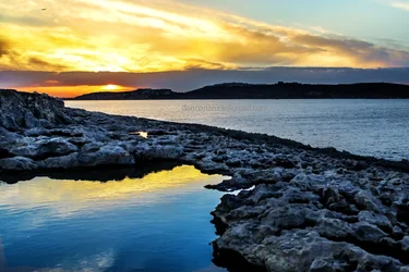 $new sunset 1 edited sml.webp