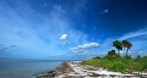 $Beach-Pano-1.webp