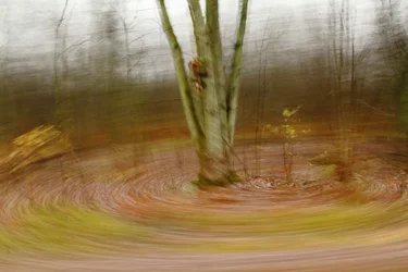 $Whirlpool_7016.webp