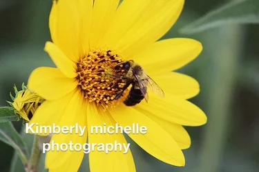 $image-2375475427.webp