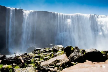 $DSC_1747-X3.webp