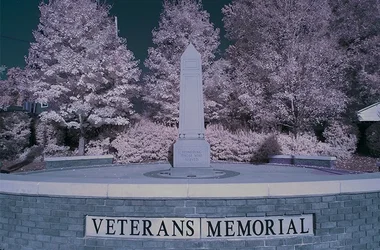$VetMemoIRsmall.webp $VetMemoIRsmall.webp