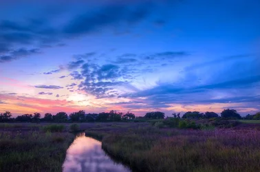$Painters Sky Critique Version.webp