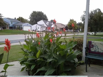$20130915_174900.webp