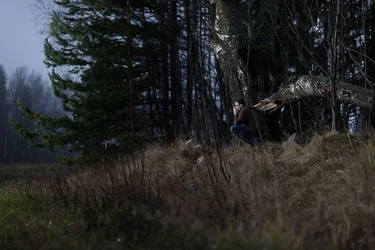 $in-the-woods-hf-02.webp $in-the-woods-hf-02.webp