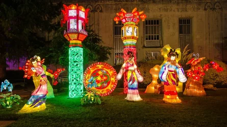 $Chinese Lantern 21.webp $Chinese Lantern 21.webp