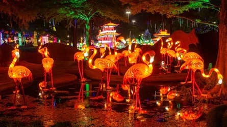 $Chinese Lantern 20.webp $Chinese Lantern 20.webp