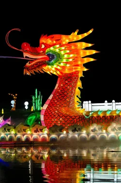 $Chinese Lantern 17.webp