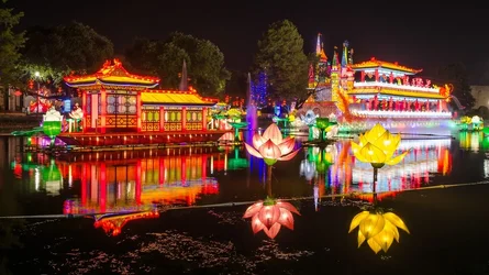 $Chinese Lantern 18.webp
