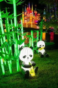 $Chinese Lantern 10.webp