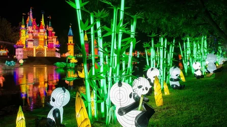 $Chinese Lantern 09.webp $Chinese Lantern 09.webp