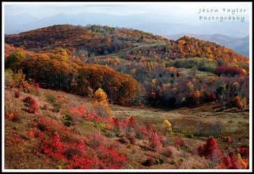 $smokies fall color 1.webp