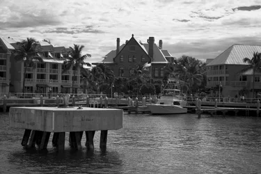 $dock b&W.webp