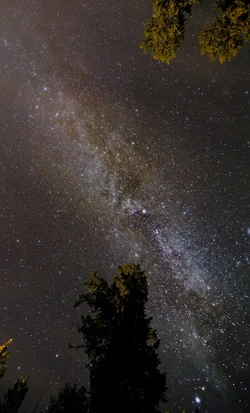 $d7000 milky way.webp