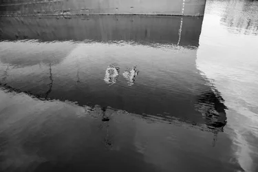 $Norfolk B&W-11.webp