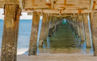 $IMG_2356.webp