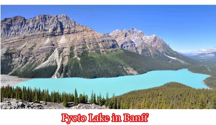 $pyoto.webp