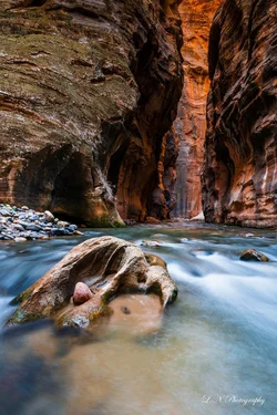 $Zion-1 resized.webp