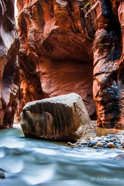 $Zion-4 resized.webp