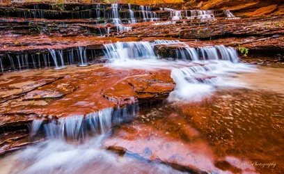 $Zion-10 resized.webp
