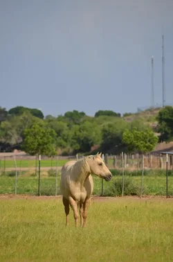 $DSC_8960_zpscb64a23d.webp