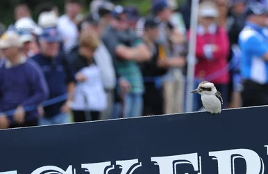 $16112013_Australian_Masters_Golf_Day_3_520.webp
