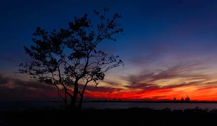 $Mobile Sunset 1 Critique.webp