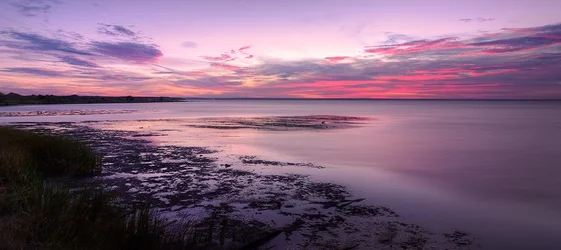 $Sunrise 1 Crop Web Critique.webp