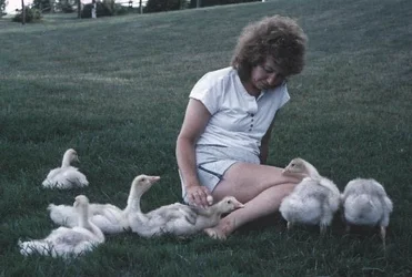 $Mother goose.webp