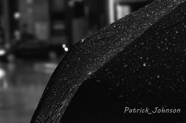 $BNW Umbrella_Rain_Day.webp