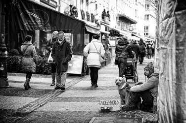 $L1000145-Edit.webp