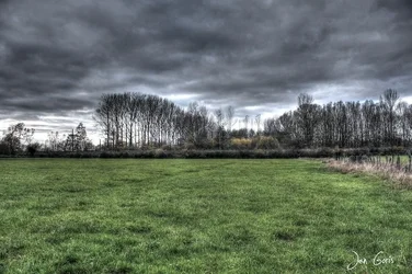 $HDR test3 copy (1).webp